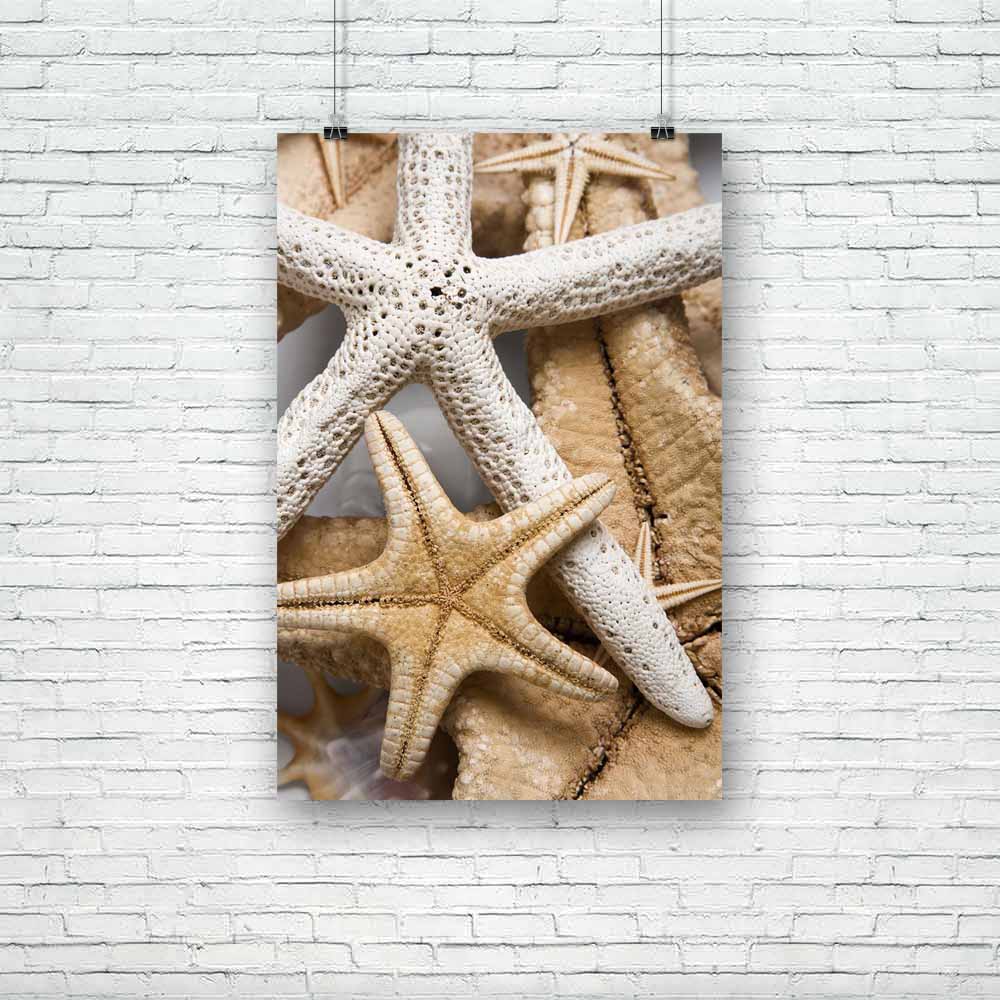Starfish Image Unframed Paper Poster-Paper Posters Unframed-POS_UN-IC 5000121 IC 5000121, Abstract Expressionism, Abstracts, Animals, Nature, Scenic, Semi Abstract, Wildlife, starfish, image, unframed, paper, poster, abstract, animal, background, macro, ocean, peaceful, sea, artzfolio, posters, wall posters, posters for room, posters for room decoration, office poster, door poster, baby poster, motivational posters, posters for room boys, quotes, poster for wall decoration, friends poster, abstract painting