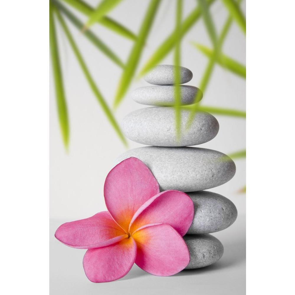 Stack Of White Pebbles & Pink Frangipani Flower Canvas Painting Synthetic Frame-Paintings MDF Framing-AFF_FR-IC 5000125 IC 5000125, Ancient, Black and White, Botanical, Buddhism, Cities, City Views, Culture, Ethnic, Floral, Flowers, Historical, Japanese, Marble and Stone, Medieval, Nature, Scenic, Spiritual, Still Life, Traditional, Tribal, Tropical, Vintage, White, World Culture, stack, of, pebbles, pink, frangipani, flower, canvas, painting, synthetic, frame, still, life, morte, balance, bamboo, calm, det