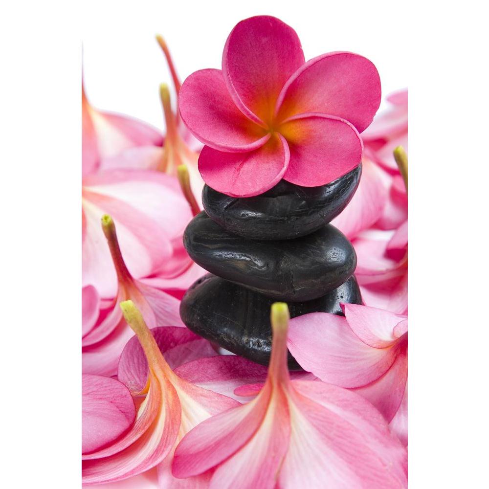 Pink Frangipani Flowers & Black Pebbles Canvas Painting Synthetic Frame-Paintings MDF Framing-AFF_FR-IC 5000129 IC 5000129, Black, Black and White, Botanical, Floral, Flowers, Nature, Scenic, Still Life, Tropical, pink, frangipani, pebbles, canvas, painting, synthetic, frame, balance, beauty, calm, color, flower, peaceful, spa, stack, still, life, vertical, zen, artzfolio, wall decor for living room, wall frames for living room, frames for living room, wall art, canvas painting, wall frame, scenery, panting