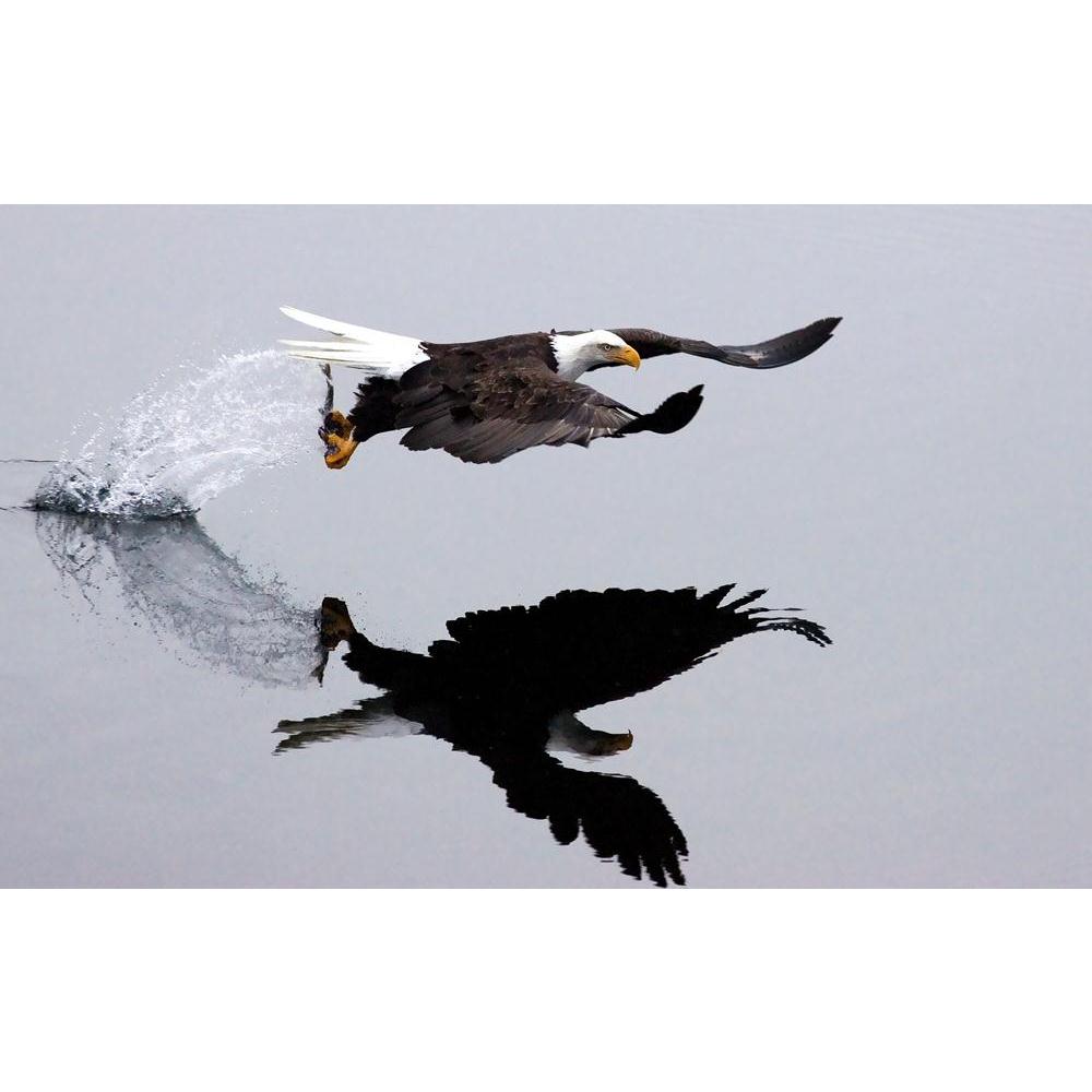 An Eagle Catches A Fish Canvas Painting Synthetic Frame-Paintings MDF Framing-AFF_FR-IC 5000154 IC 5000154, American, Birds, Black and White, Nature, Scenic, Signs and Symbols, Symbols, White, Wildlife, an, eagle, catches, a, fish, canvas, painting, synthetic, frame, avian, bald, beak, bird, brown, catch, claw, conservation, eye, feather, feathers, flight, fly, head, idaho, lake, outdoors, powerful, predator, prey, proud, raptor, reflection, symbol, talon, usa, water, wild, wings, artzfolio, wall decor for 