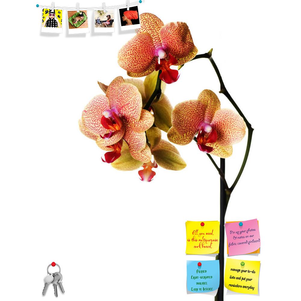 ArtzFolio Orchid Isolated On White Printed Bulletin Board Notice Pin Board Soft Board | Frameless-Bulletin Boards Frameless-AZSAO6427245BLB_FL_L-Image Code 5000160 Vishnu Image Folio Pvt Ltd, IC 5000160, ArtzFolio, Bulletin Boards Frameless, Floral, Photography, orchid, isolated, on, white, printed, bulletin, board, notice, pin, soft, frameless, spotted, pin up board, push pin board, extra large cork board, big pin board, notice board, small bulletin board, cork board, wall notice board, giant cork board, b