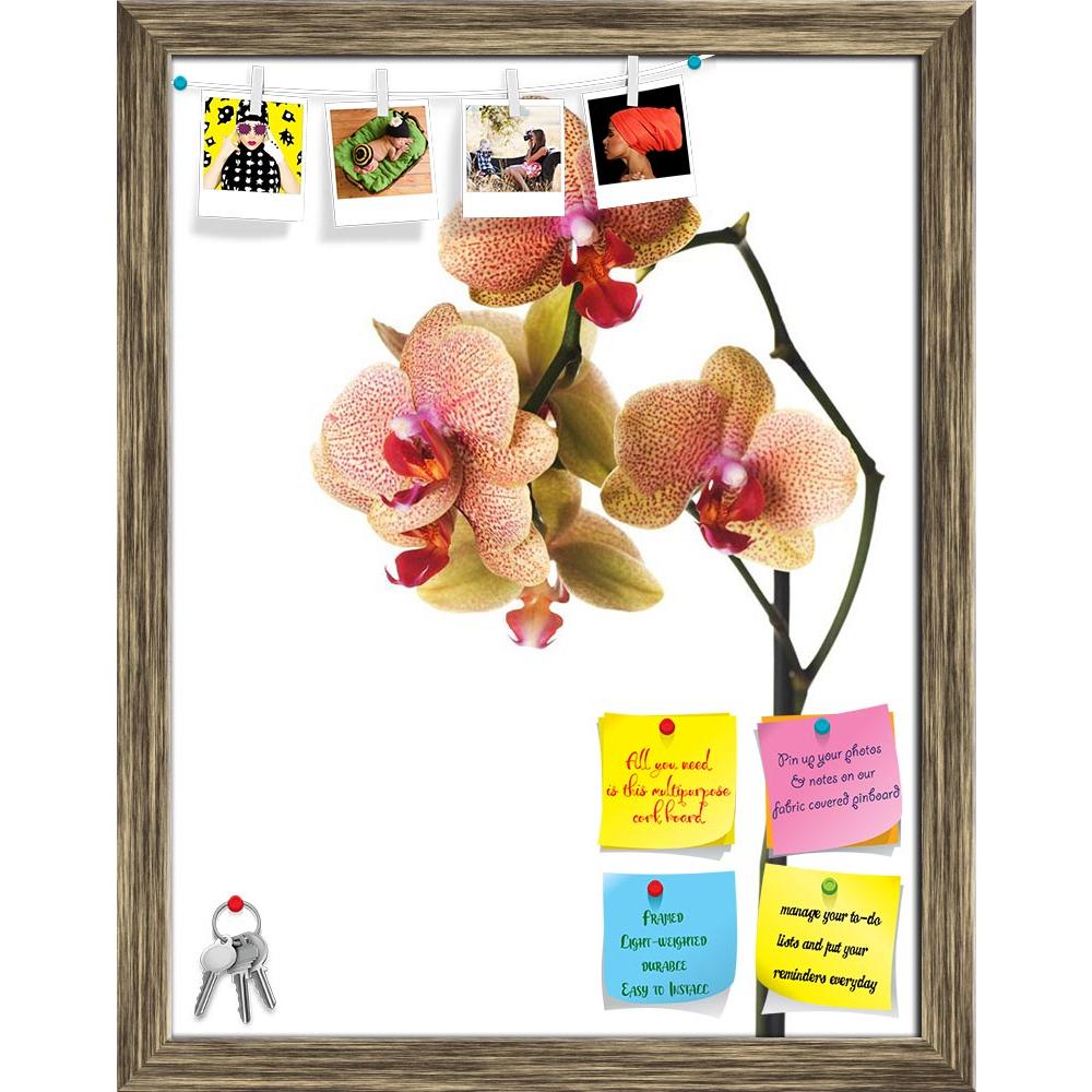 ArtzFolio Orchid Isolated On White Printed Bulletin Board Notice Pin Board Soft Board | Framed-Bulletin Boards Framed-AZSAO6427245BLB_FR_L-Image Code 5000160 Vishnu Image Folio Pvt Ltd, IC 5000160, ArtzFolio, Bulletin Boards Framed, Floral, Photography, orchid, isolated, on, white, printed, bulletin, board, notice, pin, soft, framed, spotted, pin up board, push pin board, extra large cork board, big pin board, notice board, small bulletin board, cork board, wall notice board, giant cork board, bulletin boar