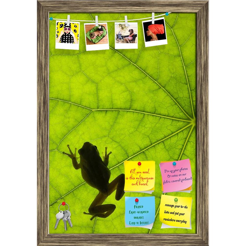 ArtzFolio Tree Frog Backlit On A Leaf Printed Bulletin Board Notice Pin Board Soft Board | Framed-Bulletin Boards Framed-AZSAO6462935BLB_FR_L-Image Code 5000163 Vishnu Image Folio Pvt Ltd, IC 5000163, ArtzFolio, Bulletin Boards Framed, Animals, Floral, Photography, tree, frog, backlit, on, a, leaf, printed, bulletin, board, notice, pin, soft, framed, pin up board, push pin board, extra large cork board, big pin board, notice board, small bulletin board, cork board, wall notice board, giant cork board, bulle
