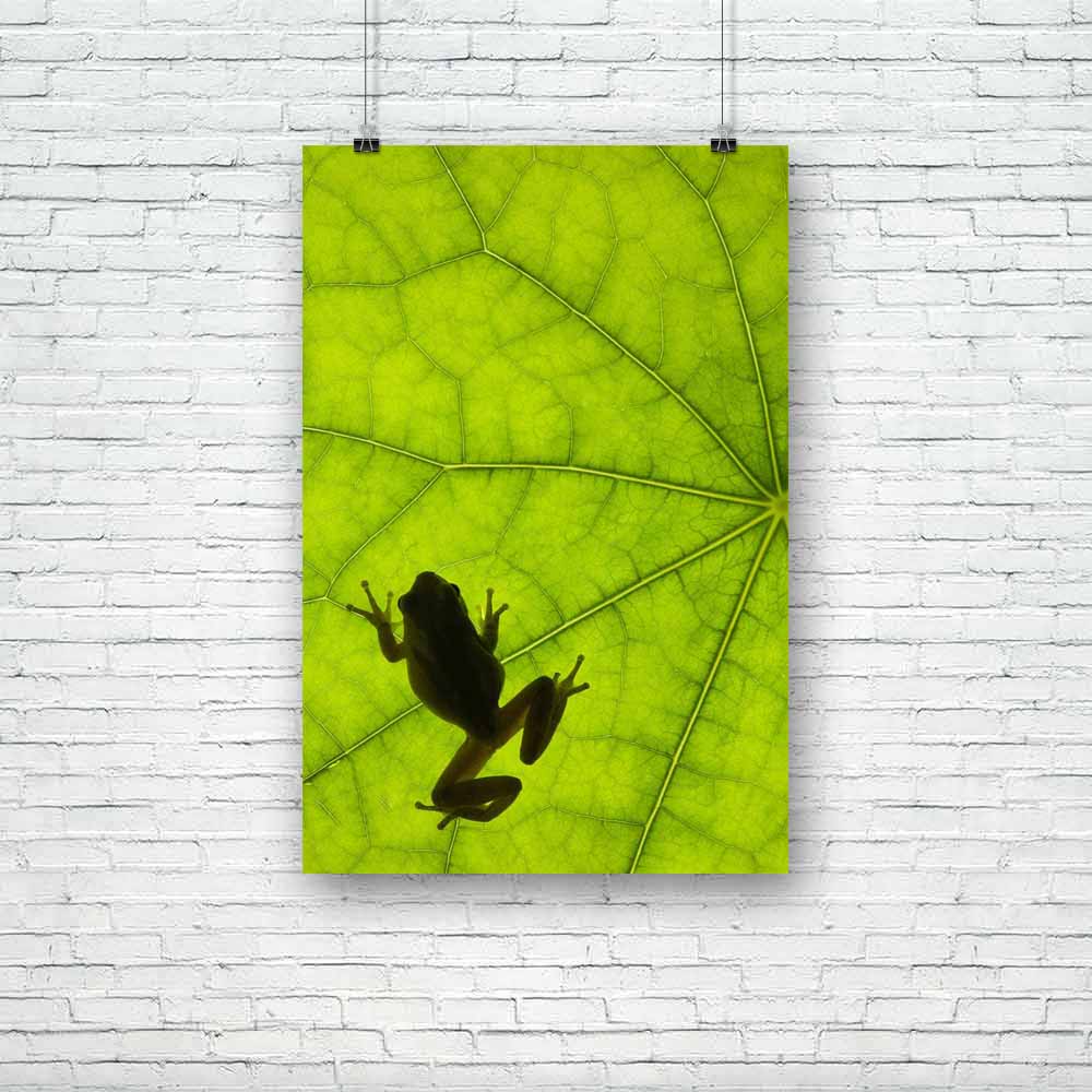 Tree Frog Backlit Unframed Paper Poster-Paper Posters Unframed-POS_UN-IC 5000163 IC 5000163, Nature, Scenic, tree, frog, backlit, unframed, paper, poster, amphibian, detail, forest, green, jungle, leaf, macro, shadow, silhouette, treefrog, artzfolio, posters, wall posters, posters for room, posters for room decoration, office poster, door poster, baby poster, motivational posters, posters for room boys, quotes, poster for wall decoration, friends poster, abstract paintings for living room, inspirational pos