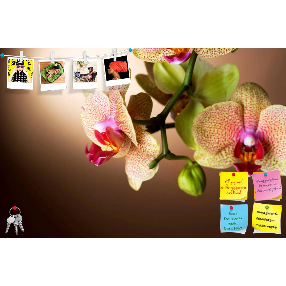 ArtzFolio Beautiful Dotted Orchid Printed Bulletin Board Notice Pin Board Soft Board | Frameless-Bulletin Boards Frameless-AZSAO6463002BLB_FL_L-Image Code 5000164 Vishnu Image Folio Pvt Ltd, IC 5000164, ArtzFolio, Bulletin Boards Frameless, Floral, Photography, beautiful, dotted, orchid, printed, bulletin, board, notice, pin, soft, frameless, brown, background, pin up board, push pin board, extra large cork board, big pin board, notice board, small bulletin board, cork board, wall notice board, giant cork b