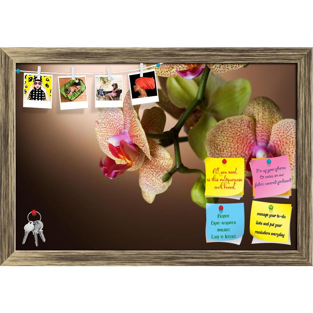 ArtzFolio Beautiful Dotted Orchid Printed Bulletin Board Notice Pin Board Soft Board | Framed-Bulletin Boards Framed-AZSAO6463002BLB_FR_L-Image Code 5000164 Vishnu Image Folio Pvt Ltd, IC 5000164, ArtzFolio, Bulletin Boards Framed, Floral, Photography, beautiful, dotted, orchid, printed, bulletin, board, notice, pin, soft, framed, brown, background, pin up board, push pin board, extra large cork board, big pin board, notice board, small bulletin board, cork board, wall notice board, giant cork board, bullet