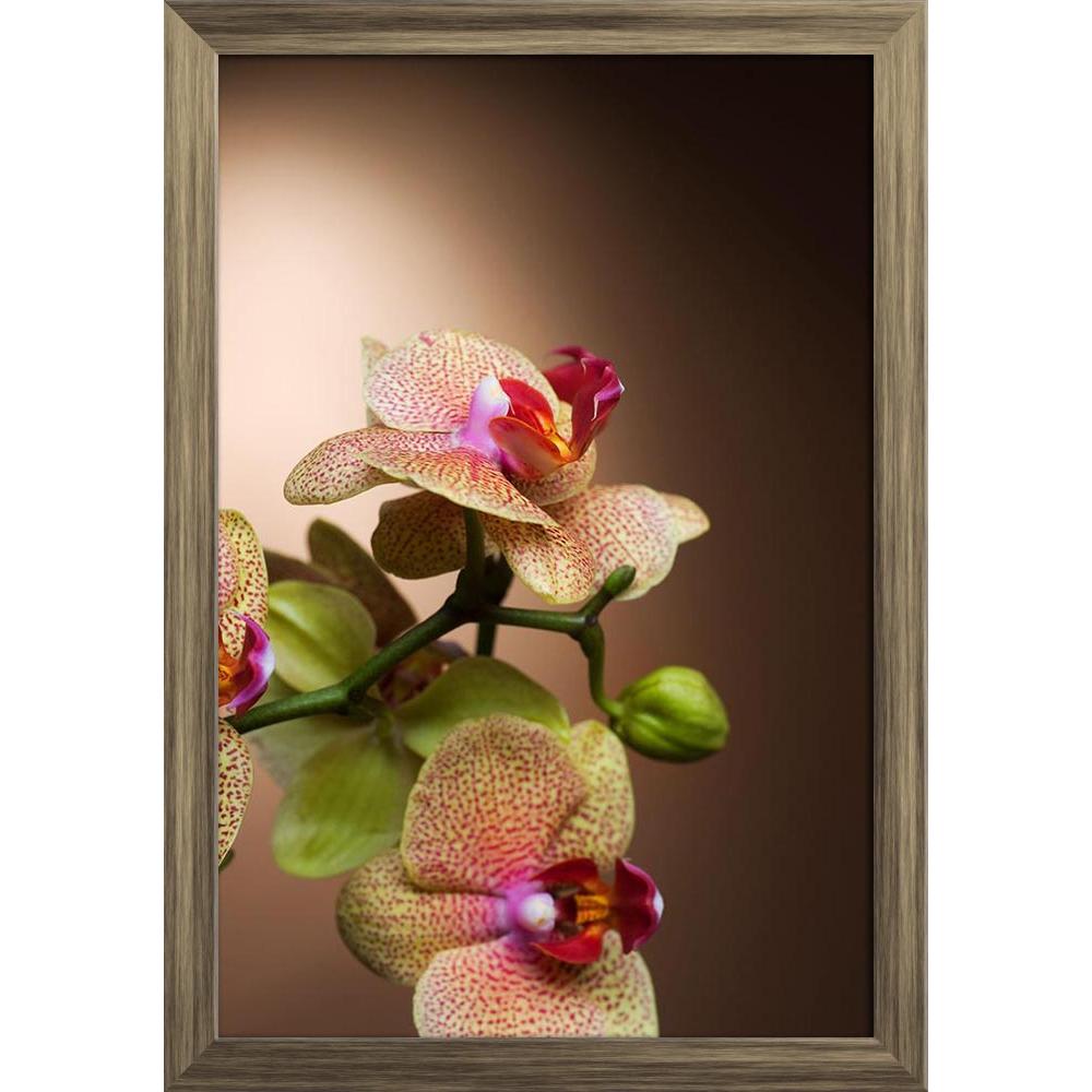 ArtzFolio Beautiful Dotted Orchid Paper Poster Frame | Top Acrylic Glass-Paper Posters Framed-AZART6463002POS_FR_L-Image Code 5000164 Vishnu Image Folio Pvt Ltd, IC 5000164, ArtzFolio, Paper Posters Framed, Floral, Photography, beautiful, dotted, orchid, paper, poster, frame, top, acrylic, glass, brown, background, wall poster large size, wall poster for living room, poster for home decoration, paper poster, big size room poster, framed wall poster for living room, home decor posters, pitaara box, modern ar
