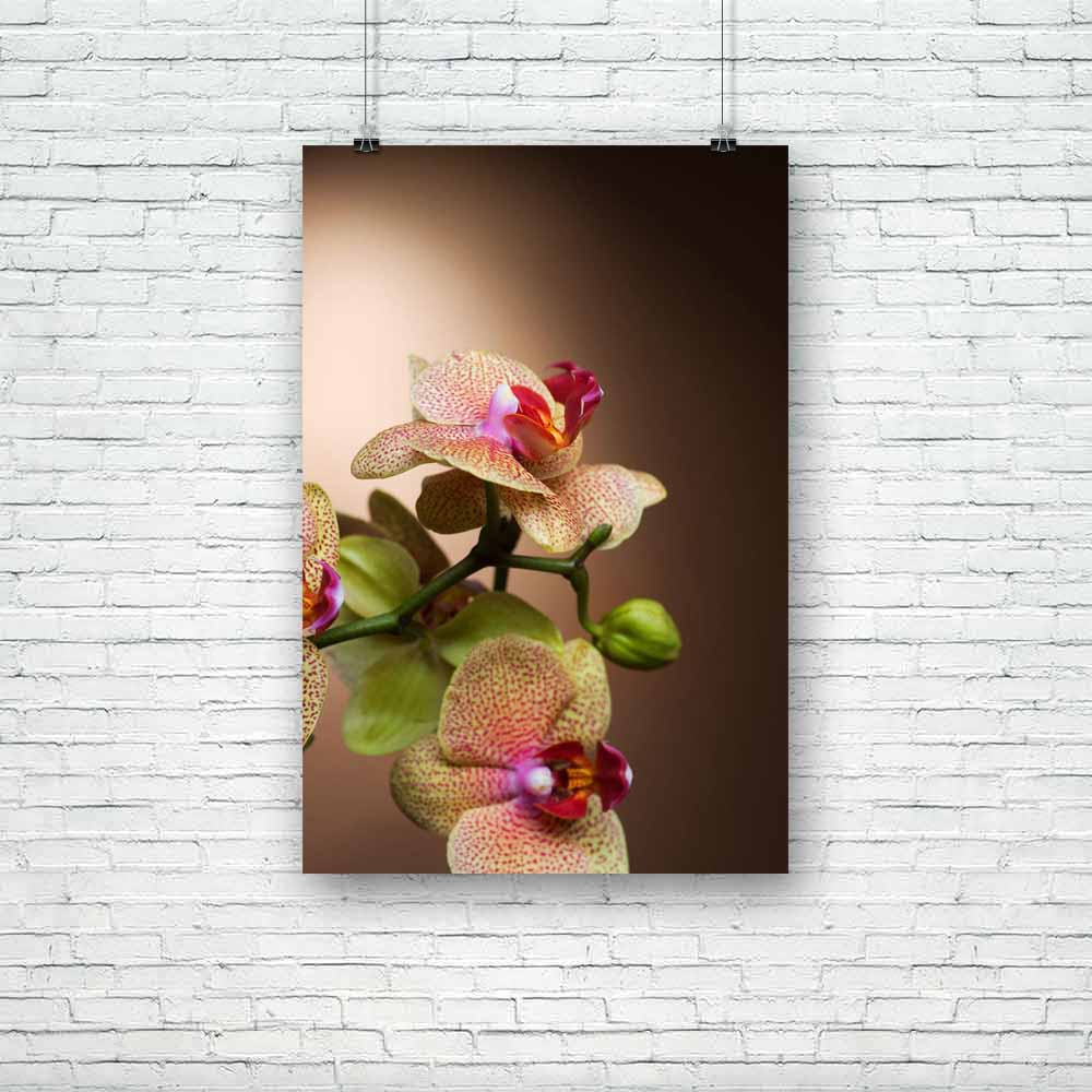 Dotted Orchid Unframed Paper Poster-Paper Posters Unframed-POS_UN-IC 5000164 IC 5000164, Botanical, Decorative, Floral, Flowers, Love, Nature, Patterns, Romance, Scenic, Signs, Signs and Symbols, Tropical, dotted, orchid, unframed, paper, poster, orchids, background, beautiful, beauty, bloom, blossom, border, botany, branch, bright, brown, bud, close, closeup, color, day, design, exotic, flora, flower, fragility, fresh, freshness, gift, horizontal, isolate, isolated, macro, pattern, petal, phalaenopsis, pin