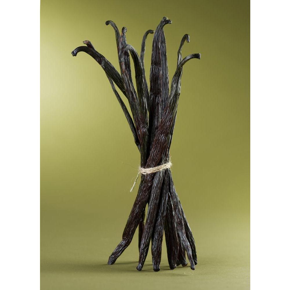 Bunch Of Vanilla Beans Canvas Painting Synthetic Frame-Paintings MDF Framing-AFF_FR-IC 5000165 IC 5000165, Asian, Black, Black and White, Botanical, Cuisine, Floral, Flowers, Food, Food and Beverage, Food and Drink, Indian, Nature, Scenic, White, bunch, of, vanilla, beans, canvas, painting, synthetic, frame, aroma, aromatherapy, aromatic, asia, background, baking, bean, bloom, blossom, brown, close, closeup, cooking, dark, delicious, dessert, drink, dry, eat, elastic, exotic, flavor, flower, gourmet, green,