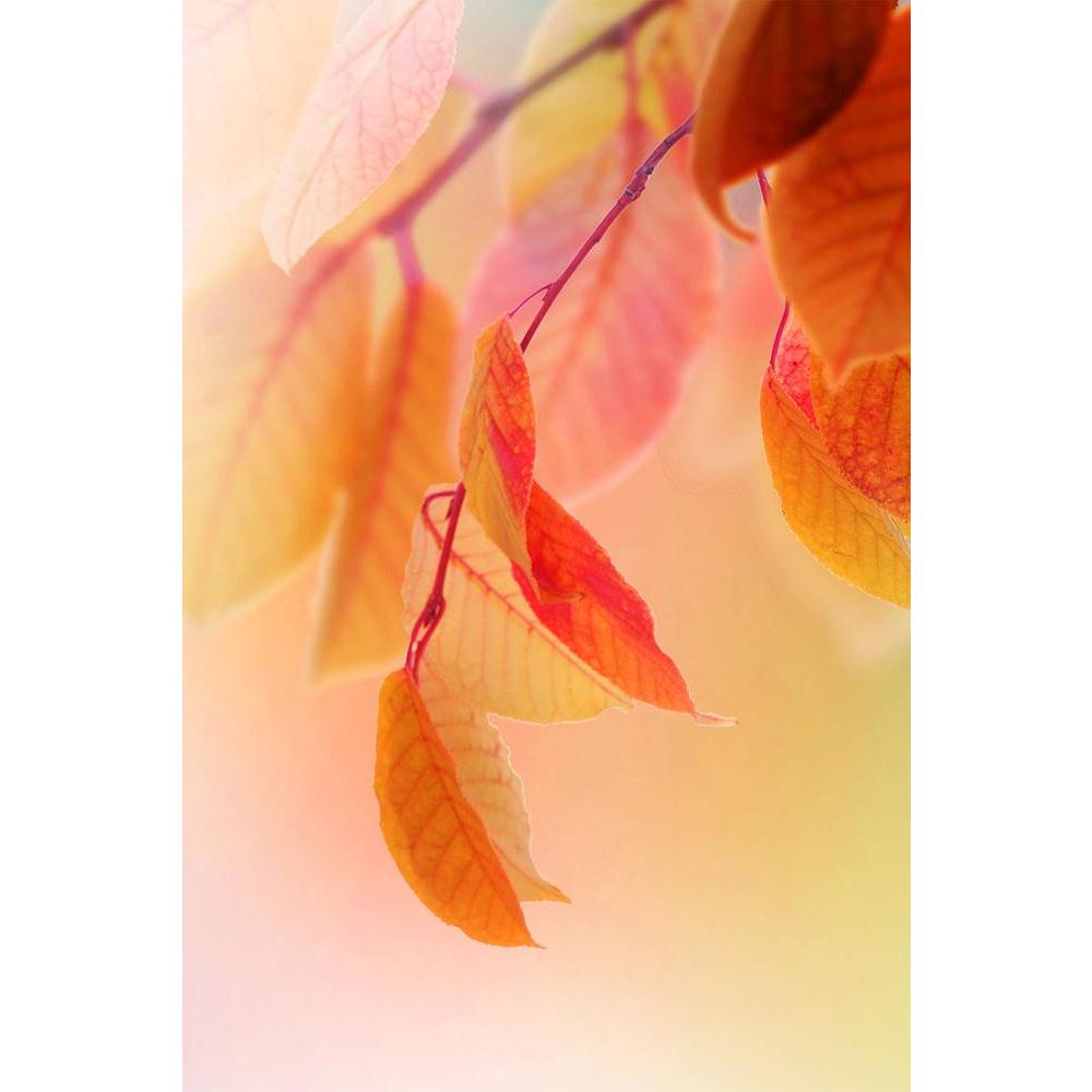ArtzFolio Autumn Unframed Paper Poster-Paper Posters Unframed-AZART6463134POS_UN_L-Image Code 5000166 Vishnu Image Folio Pvt Ltd, IC 5000166, ArtzFolio, Paper Posters Unframed, Floral, Photography, autumn, unframed, paper, poster, wall, large, size, for, living, room, home, decoration, big, framed, decor, posters, pitaara, box, modern, art, with, frame, bedroom, amazonbasics, door, drawing, small, decorative, office, reception, multiple, friends, images, reprints, reprint, kids, bathroom, designer, painting