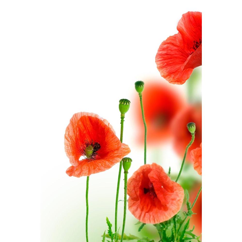 ArtzFolio Poppies Border Unframed Paper Poster-Paper Posters Unframed-AZART6463144POS_UN_L-Image Code 5000167 Vishnu Image Folio Pvt Ltd, IC 5000167, ArtzFolio, Paper Posters Unframed, Floral, Photography, poppies, border, unframed, paper, poster, wall, large, size, for, living, room, home, decoration, big, framed, decor, posters, pitaara, box, modern, art, with, frame, bedroom, amazonbasics, door, drawing, small, decorative, office, reception, multiple, friends, images, reprints, reprint, kids, bathroom, d