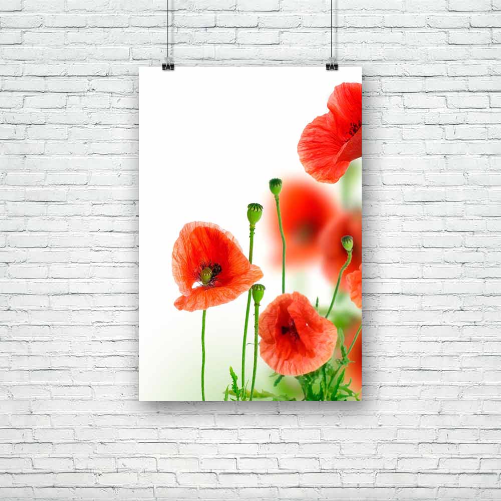 Poppies Border Unframed Paper Poster-Paper Posters Unframed-POS_UN-IC 5000167 IC 5000167, Black and White, Botanical, Decorative, Floral, Flowers, Nature, Rural, Scenic, Seasons, Signs, Signs and Symbols, White, poppies, border, unframed, paper, poster, poppy, background, beautiful, beauty, bloom, blossom, close, closeup, color, corner, design, field, flora, flower, focus, fragile, fragility, frame, garden, green, head, isolate, isolated, natural, opium, petal, plant, pretty, red, season, selective, single,