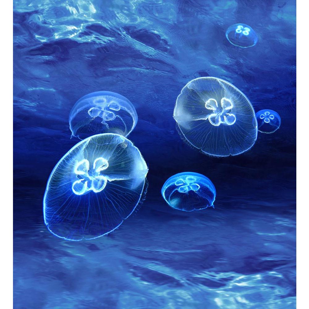 Luminous Light Underwater Below Ocean Surface Canvas Painting Synthetic Frame-Paintings MDF Framing-AFF_FR-IC 5000178 IC 5000178, Abstract Expressionism, Abstracts, American, Animals, Black, Black and White, Parents, Semi Abstract, luminous, light, underwater, below, ocean, surface, canvas, painting, synthetic, frame, jellyfish, seabed, abstract, animal, aqua, aquatic, background, bed, biology, blow, blue, bottom, clear, creature, deep, depth, float, floor, flow, fresh, glide, glow, glowing, jelly, liquid, 