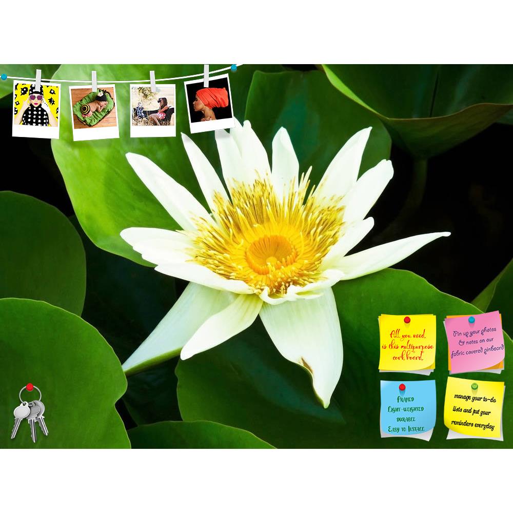 ArtzFolio Lotus D1 Printed Bulletin Board Notice Pin Board Soft Board | Frameless-Bulletin Boards Frameless-AZSAO7216577BLB_FL_L-Image Code 5000195 Vishnu Image Folio Pvt Ltd, IC 5000195, ArtzFolio, Bulletin Boards Frameless, Floral, Photography, lotus, d1, printed, bulletin, board, notice, pin, soft, frameless, pin up board, push pin board, extra large cork board, big pin board, notice board, small bulletin board, cork board, wall notice board, giant cork board, bulletin board, office notice board, office 