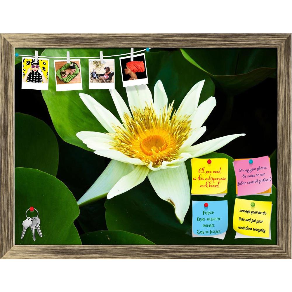 ArtzFolio Lotus D1 Printed Bulletin Board Notice Pin Board Soft Board | Framed-Bulletin Boards Framed-AZSAO7216577BLB_FR_L-Image Code 5000195 Vishnu Image Folio Pvt Ltd, IC 5000195, ArtzFolio, Bulletin Boards Framed, Floral, Photography, lotus, d1, printed, bulletin, board, notice, pin, soft, framed, pin up board, push pin board, extra large cork board, big pin board, notice board, small bulletin board, cork board, wall notice board, giant cork board, bulletin board, office notice board, office cork board, 