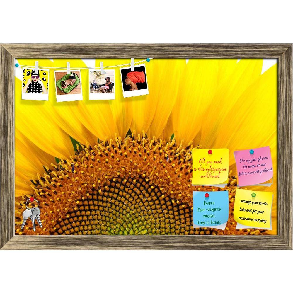 ArtzFolio Sunflower D2 Printed Bulletin Board Notice Pin Board Soft Board | Framed-Bulletin Boards Framed-AZSAO7364024BLB_FR_L-Image Code 5000201 Vishnu Image Folio Pvt Ltd, IC 5000201, ArtzFolio, Bulletin Boards Framed, Floral, Photography, sunflower, d2, printed, bulletin, board, notice, pin, soft, framed, pin up board, push pin board, extra large cork board, big pin board, notice board, small bulletin board, cork board, wall notice board, giant cork board, bulletin board, office notice board, office cork