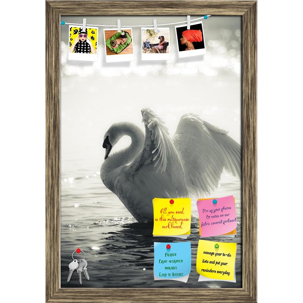 ArtzFolio Swan In A Lake D1 Printed Bulletin Board Notice Pin Board Soft Board | Framed-Bulletin Boards Framed-AZSAO7704131BLB_FR_L-Image Code 5000218 Vishnu Image Folio Pvt Ltd, IC 5000218, ArtzFolio, Bulletin Boards Framed, Birds, Photography, swan, in, a, lake, d1, printed, bulletin, board, notice, pin, soft, framed, graceful, black, white, pin up board, push pin board, extra large cork board, big pin board, notice board, small bulletin board, cork board, wall notice board, giant cork board, bulletin boa