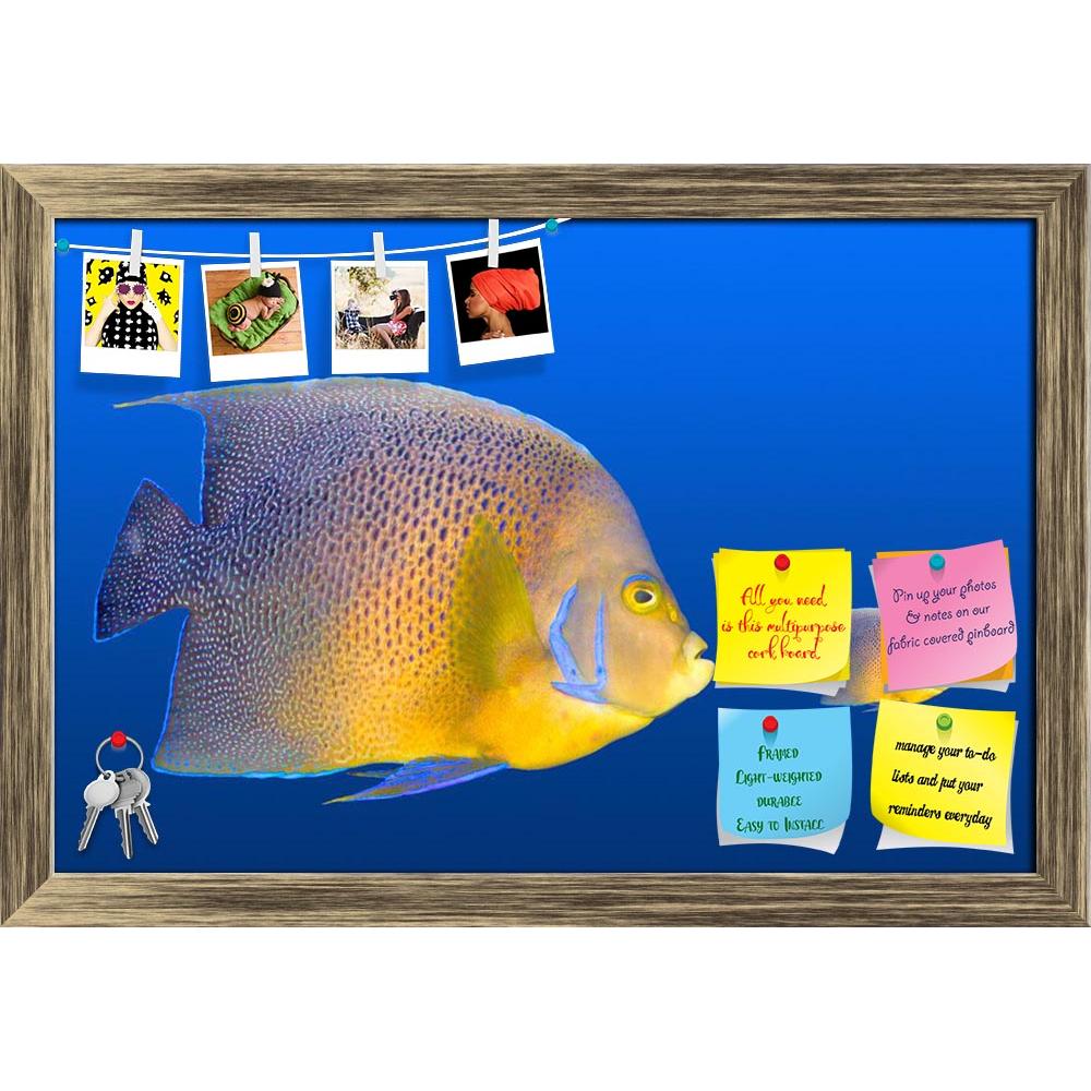 ArtzFolio Big Fish Chasing Small Fish Printed Bulletin Board Notice Pin Board Soft Board | Framed-Bulletin Boards Framed-AZSAO7937915BLB_FR_L-Image Code 5000231 Vishnu Image Folio Pvt Ltd, IC 5000231, ArtzFolio, Bulletin Boards Framed, Animals, Kids, Photography, big, fish, chasing, small, printed, bulletin, board, notice, pin, soft, framed, pin up board, push pin board, extra large cork board, big pin board, notice board, small bulletin board, cork board, wall notice board, giant cork board, bulletin board