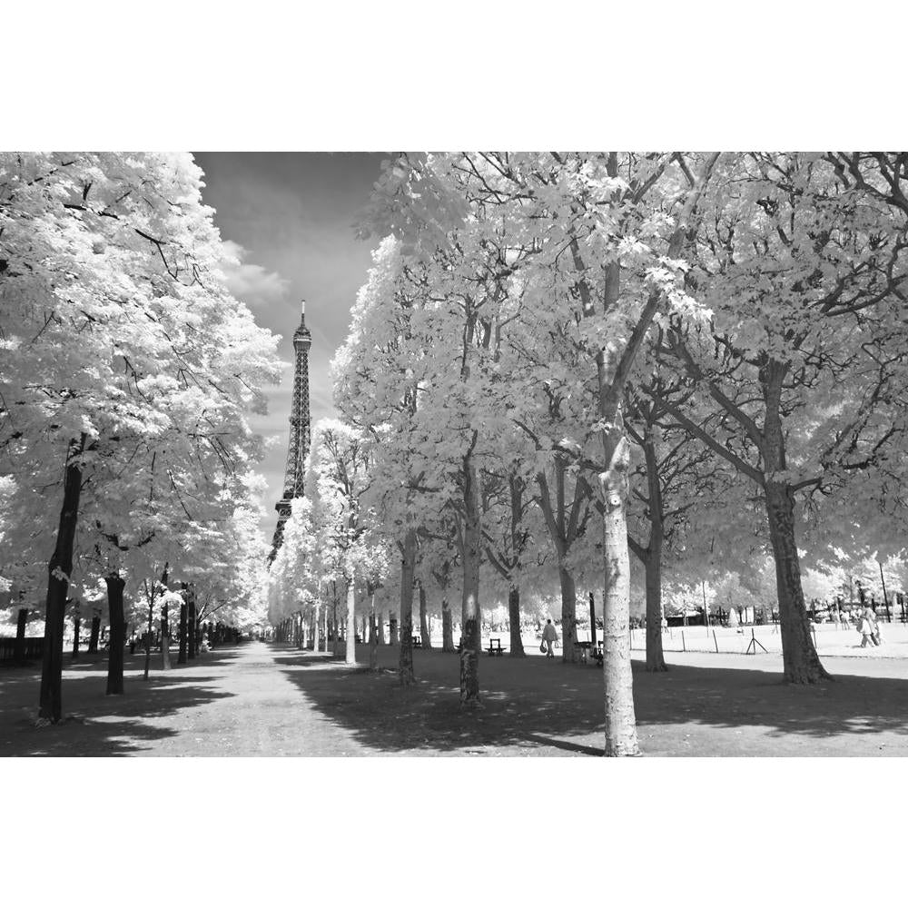 Eiffel Tower From The Distance, Paris, France Canvas Painting Synthetic Frame-Paintings MDF Framing-AFF_FR-IC 5000268 IC 5000268, Ancient, Architecture, Art and Paintings, Black, Black and White, Cities, City Views, Fine Art Reprint, French, God Ram, Hinduism, Historical, Holidays, Icons, Landmarks, Landscapes, Medieval, Panorama, Places, Scenic, Signs and Symbols, Symbols, Travel, Urban, Vintage, White, Metallic, eiffel, tower, from, the, distance, paris, france, canvas, painting, synthetic, frame, and, ar