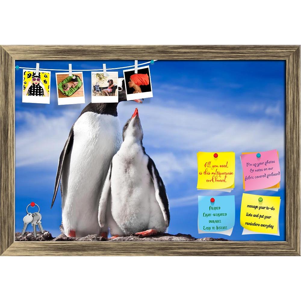 ArtzFolio Penguins Printed Bulletin Board Notice Pin Board Soft Board | Framed-Bulletin Boards Framed-AZSAO8765393BLB_FR_L-Image Code 5000274 Vishnu Image Folio Pvt Ltd, IC 5000274, ArtzFolio, Bulletin Boards Framed, Animals, Photography, penguins, printed, bulletin, board, notice, pin, soft, framed, two, resting, stony, coast, antarctica, pin up board, push pin board, extra large cork board, big pin board, notice board, small bulletin board, cork board, wall notice board, giant cork board, bulletin board, 