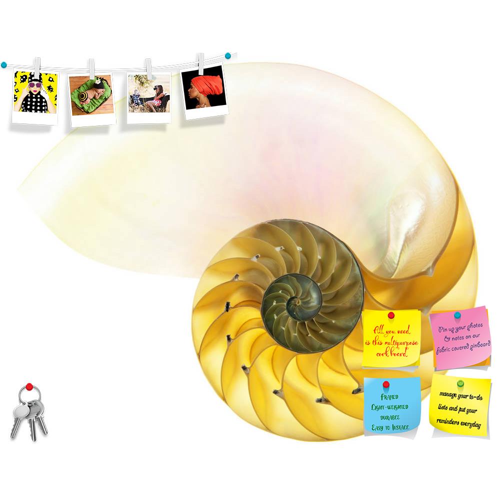 ArtzFolio Halved Backlit Printed Bulletin Board Notice Pin Board Soft Board | Frameless-Bulletin Boards Frameless-AZSAO9055099BLB_FL_L-Image Code 5000293 Vishnu Image Folio Pvt Ltd, IC 5000293, ArtzFolio, Bulletin Boards Frameless, Abstract, Fine Art Reprint, halved, backlit, printed, bulletin, board, notice, pin, soft, frameless, detailed, photo, shell, chambered, nautilus, pompilius, isolated, white, pin up board, push pin board, extra large cork board, big pin board, notice board, small bulletin board, c