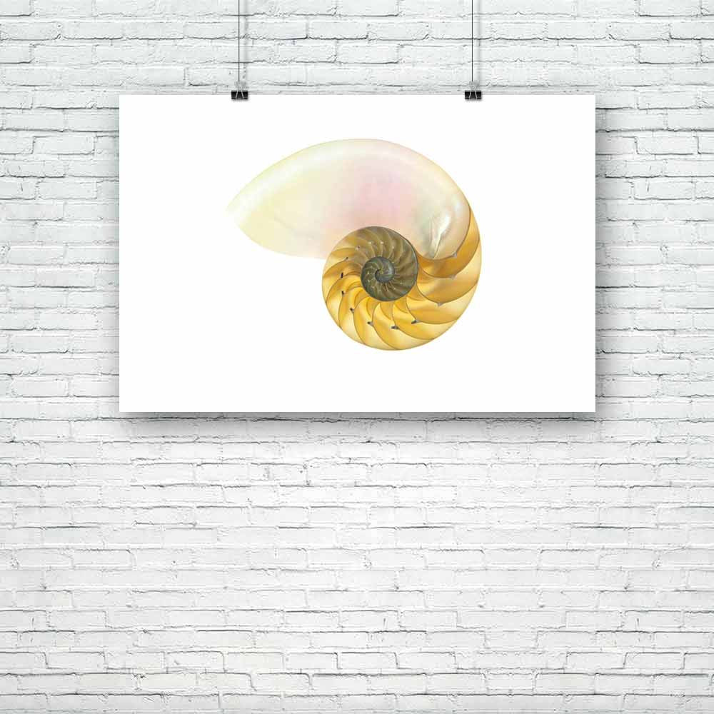 Halved Backlit Unframed Paper Poster-Paper Posters Unframed-POS_UN-IC 5000293 IC 5000293, Ancient, Animals, Black and White, Historical, Medieval, Nature, Patterns, Scenic, Vintage, White, halved, backlit, unframed, paper, poster, shell, nautilus, animal, background, cephalopod, chamber, closeup, curve, cutaway, detail, float, fossil, fractal, geometry, half, infinity, isolated, large, macro, natural, old, pattern, pearl, regular, sea, spiral, swirl, symmetrical, symmetry, texture, yellow, artzfolio, poster
