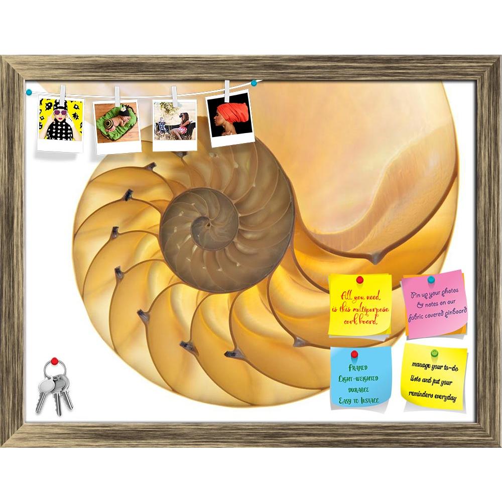 ArtzFolio Halved Backlit Shell Printed Bulletin Board Notice Pin Board Soft Board | Framed-Bulletin Boards Framed-AZSAO9055105BLB_FR_L-Image Code 5000294 Vishnu Image Folio Pvt Ltd, IC 5000294, ArtzFolio, Bulletin Boards Framed, Abstract, Fine Art Reprint, halved, backlit, shell, printed, bulletin, board, notice, pin, soft, framed, detailed, photo, chambered, nautilus, pompilius, isolated, white, pin up board, push pin board, extra large cork board, big pin board, notice board, small bulletin board, cork bo