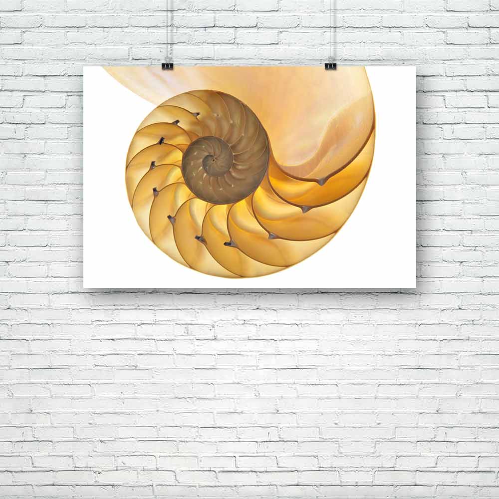 Halved Backlit Shell Unframed Paper Poster-Paper Posters Unframed-POS_UN-IC 5000294 IC 5000294, Ancient, Animals, Black and White, Historical, Medieval, Nature, Patterns, Scenic, Vintage, White, halved, backlit, shell, unframed, paper, poster, nautilus, spiral, fibonacci, animal, background, cephalopod, chamber, closeup, curve, cutaway, detail, float, fossil, fractal, geometry, half, infinity, isolated, large, macro, natural, old, pattern, pearl, regular, sea, swirl, symmetrical, symmetry, texture, yellow, 