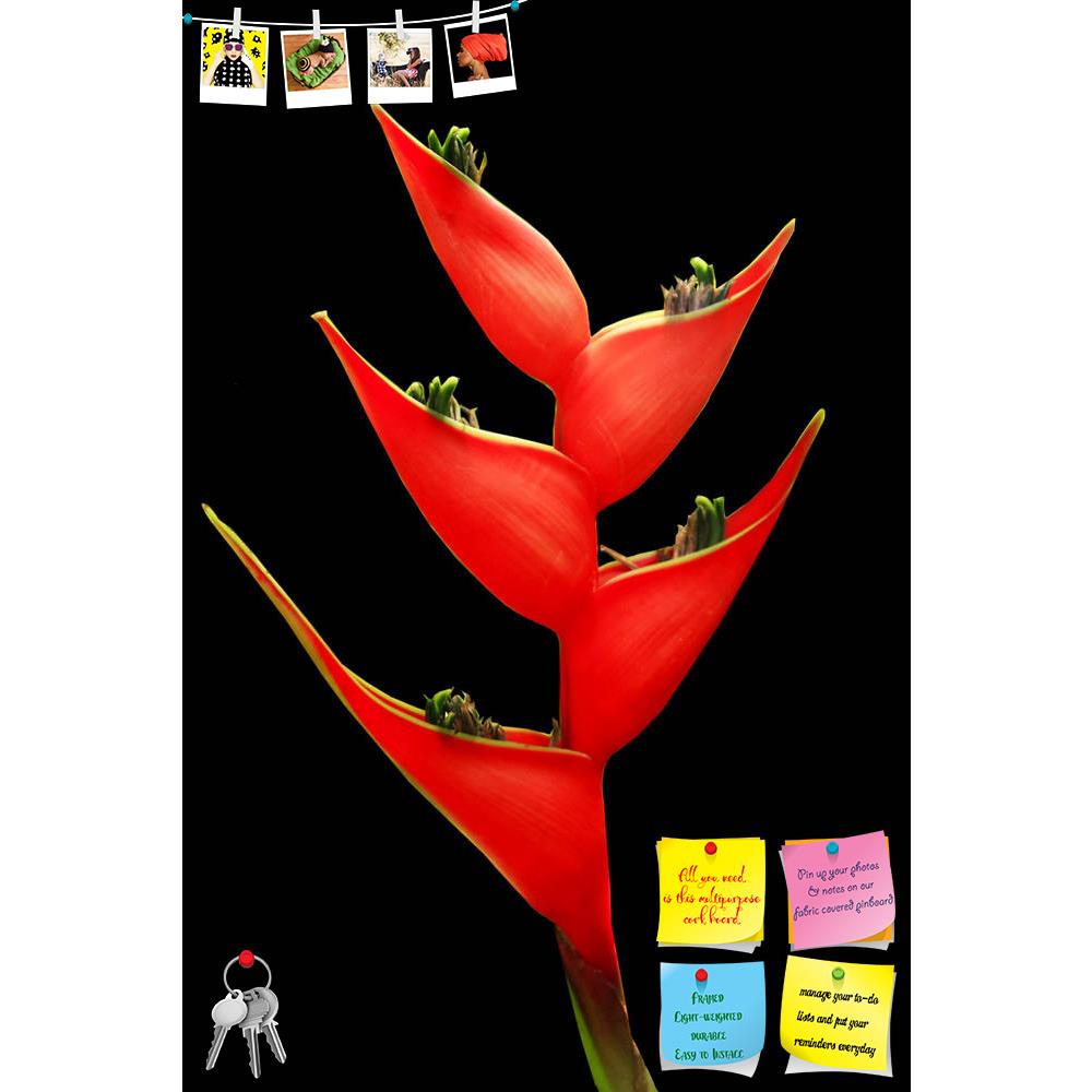 ArtzFolio Red Bird Of Paradise Flower Printed Bulletin Board Notice Pin Board Soft Board | Frameless-Bulletin Boards Frameless-AZSAO9094722BLB_FL_L-Image Code 5000297 Vishnu Image Folio Pvt Ltd, IC 5000297, ArtzFolio, Bulletin Boards Frameless, Floral, Photography, red, bird, of, paradise, flower, printed, bulletin, board, notice, pin, soft, frameless, isolate, black, background, pin up board, push pin board, extra large cork board, big pin board, notice board, small bulletin board, cork board, wall notice 