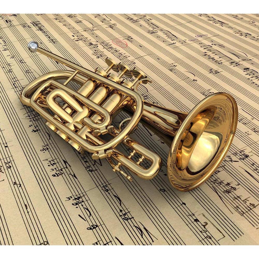Brass Lacquered Trumpet Laying On Music Notes Canvas Painting Synthetic Frame-Paintings MDF Framing-AFF_FR-IC 5000307 IC 5000307, Abstract Expressionism, Abstracts, Art and Paintings, Digital, Digital Art, Drawing, Entertainment, Graphic, Icons, Illustrations, Music, Music and Dance, Music and Musical Instruments, Musical Instruments, Pets, Semi Abstract, Signs and Symbols, Sketches, Symbols, brass, lacquered, trumpet, laying, on, notes, canvas, painting, synthetic, frame, musical, abstract, alto, art, arti