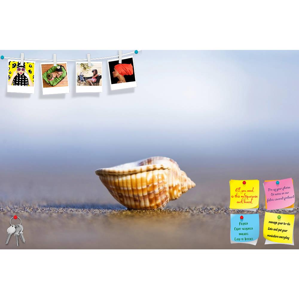 ArtzFolio Small Seashell Upturned On The Beach Printed Bulletin Board Notice Pin Board Soft Board | Frameless-Bulletin Boards Frameless-AZSAO9243479BLB_FL_L-Image Code 5000310 Vishnu Image Folio Pvt Ltd, IC 5000310, ArtzFolio, Bulletin Boards Frameless, Landscapes, Photography, small, seashell, upturned, on, the, beach, printed, bulletin, board, notice, pin, soft, frameless, pin up board, push pin board, extra large cork board, big pin board, notice board, small bulletin board, cork board, wall notice board