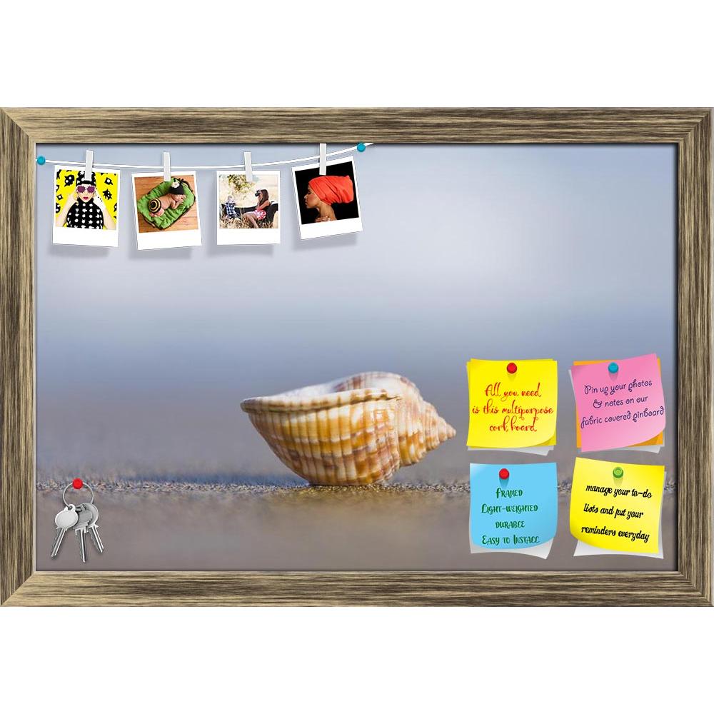 ArtzFolio Small Seashell Upturned On The Beach Printed Bulletin Board Notice Pin Board Soft Board | Framed-Bulletin Boards Framed-AZSAO9243479BLB_FR_L-Image Code 5000310 Vishnu Image Folio Pvt Ltd, IC 5000310, ArtzFolio, Bulletin Boards Framed, Landscapes, Photography, small, seashell, upturned, on, the, beach, printed, bulletin, board, notice, pin, soft, framed, pin up board, push pin board, extra large cork board, big pin board, notice board, small bulletin board, cork board, wall notice board, giant cork