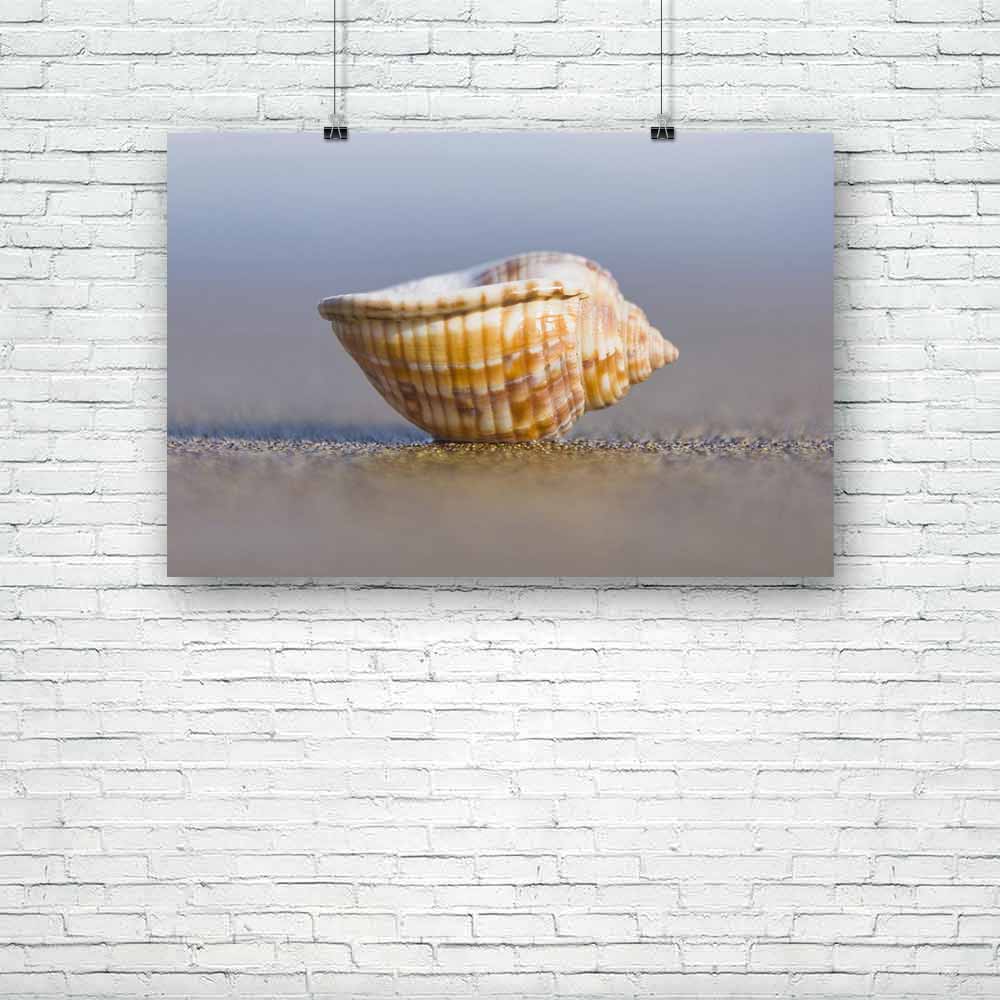 Small Seashell Upturned Unframed Paper Poster-Paper Posters Unframed-POS_UN-IC 5000310 IC 5000310, Nature, Scenic, small, seashell, upturned, unframed, paper, poster, beach, central, conch, detail, sand, seashore, shell, shore, artzfolio, posters, wall posters, posters for room, posters for room decoration, office poster, door poster, baby poster, motivational posters, posters for room boys, quotes, poster for wall decoration, friends poster, abstract paintings for living room, inspirational posters, room p