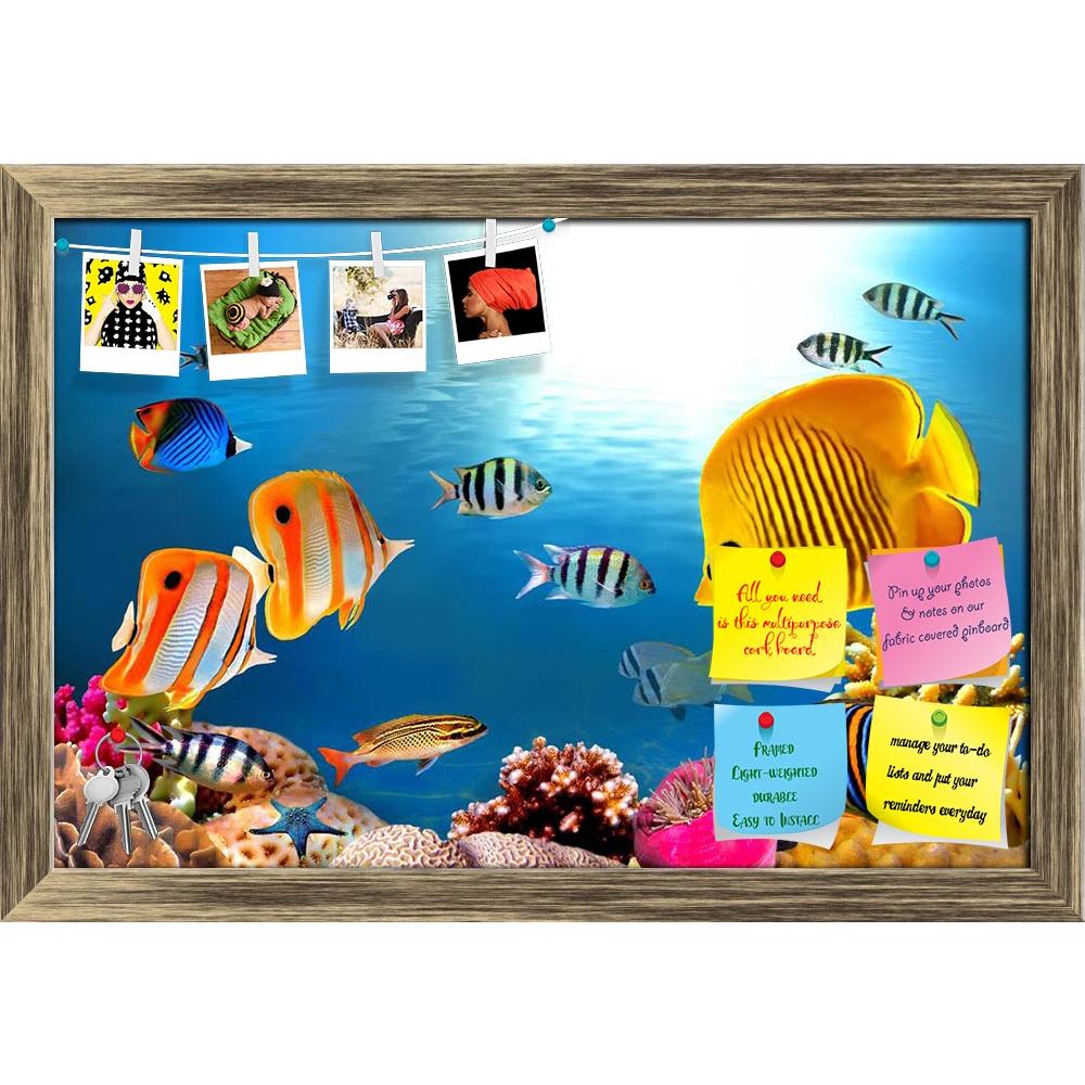 ArtzFolio Coral Photography Printed Bulletin Board Notice Pin Board Soft Board | Framed-Bulletin Boards Framed-AZSAO9488631BLB_FR_L-Image Code 5000341 Vishnu Image Folio Pvt Ltd, IC 5000341, ArtzFolio, Bulletin Boards Framed, Animals, Kids, Photography, coral, printed, bulletin, board, notice, pin, soft, framed, photo, colony, pin up board, push pin board, extra large cork board, big pin board, notice board, small bulletin board, cork board, wall notice board, giant cork board, bulletin board, office notice