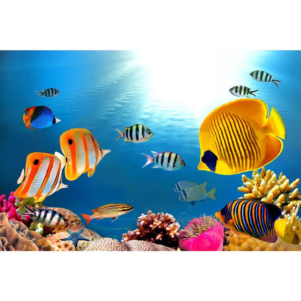 Coral Photography Unframed Paper Poster-Paper Posters Unframed-POS_UN-IC 5000341 IC 5000341, Animals, Automobiles, Education, Nature, Scenic, Schools, Transportation, Travel, Tropical, Universities, Vehicles, coral, photography, unframed, paper, wall, poster, reef, eilat, fish, colorful, saltwater, animal, aquatic, background, colony, dive, diversity, exotic, exploration, explore, hard, israel, marine, ocean, red, school, scuba, sea, tourism, underwater, water, artzfolio, posters, wall posters, posters for 