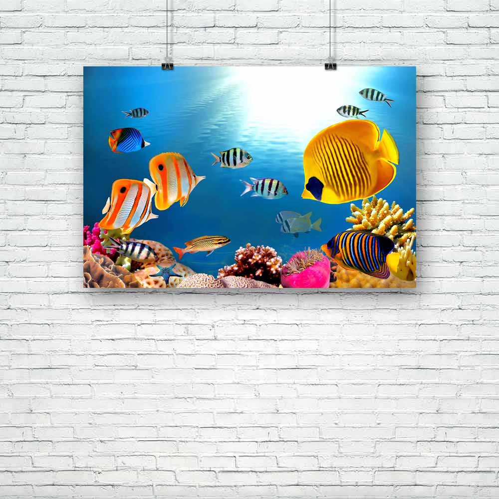 Coral Photography Unframed Paper Poster-Paper Posters Unframed-POS_UN-IC 5000341 IC 5000341, Animals, Automobiles, Education, Nature, Scenic, Schools, Transportation, Travel, Tropical, Universities, Vehicles, coral, photography, unframed, paper, poster, reef, eilat, fish, colorful, saltwater, animal, aquatic, background, colony, dive, diversity, exotic, exploration, explore, hard, israel, marine, ocean, red, school, scuba, sea, tourism, underwater, water, artzfolio, posters, wall posters, posters for room, 
