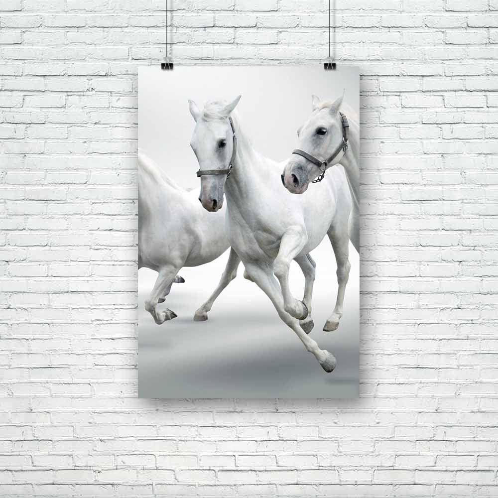 White Horses D1 Unframed Paper Poster-Paper Posters Unframed-POS_UN-IC 5000379 IC 5000379, Animals, Black and White, Nature, Pets, Scenic, White, horses, d1, unframed, paper, poster, horse, active, animal, arab, arabian, background, carriage, coach, dressage, dressing, elegant, equestrian, equine, fast, four, free, freedom, gallop, grey, isolated, mammal, mane, manipulation, motion, natural, noble, pet, quartet, race, speed, stallion, tail, training, trot, wild, artzfolio, posters, wall posters, posters for