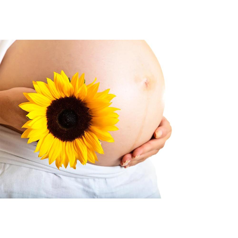 ArtzFolio Pregnant Woman Holding Sunflower Unframed Paper Poster-Paper Posters Unframed-AZART9987693POS_UN_L-Image Code 5000399 Vishnu Image Folio Pvt Ltd, IC 5000399, ArtzFolio, Paper Posters Unframed, Adult, Figurative, Photography, pregnant, woman, holding, sunflower, unframed, paper, poster, wall, large, size, for, living, room, home, decoration, big, framed, decor, posters, pitaara, box, modern, art, with, frame, bedroom, amazonbasics, door, drawing, small, decorative, office, reception, multiple, frie