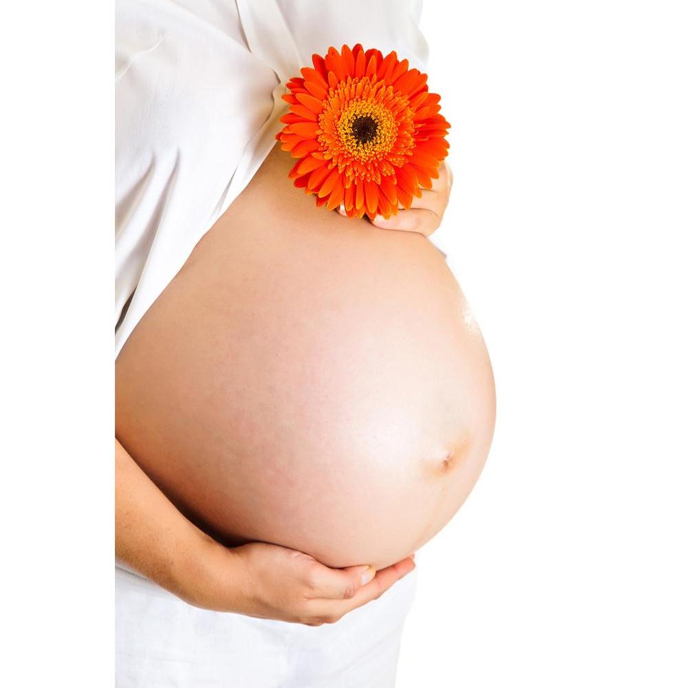 ArtzFolio Pregnant Woman Holding Gerbera Flower Unframed Paper Poster-Paper Posters Unframed-AZART9987742POS_UN_L-Image Code 5000400 Vishnu Image Folio Pvt Ltd, IC 5000400, ArtzFolio, Paper Posters Unframed, Adult, Figurative, Photography, pregnant, woman, holding, gerbera, flower, unframed, paper, poster, wall, large, size, for, living, room, home, decoration, big, framed, decor, posters, pitaara, box, modern, art, with, frame, bedroom, amazonbasics, door, drawing, small, decorative, office, reception, mul