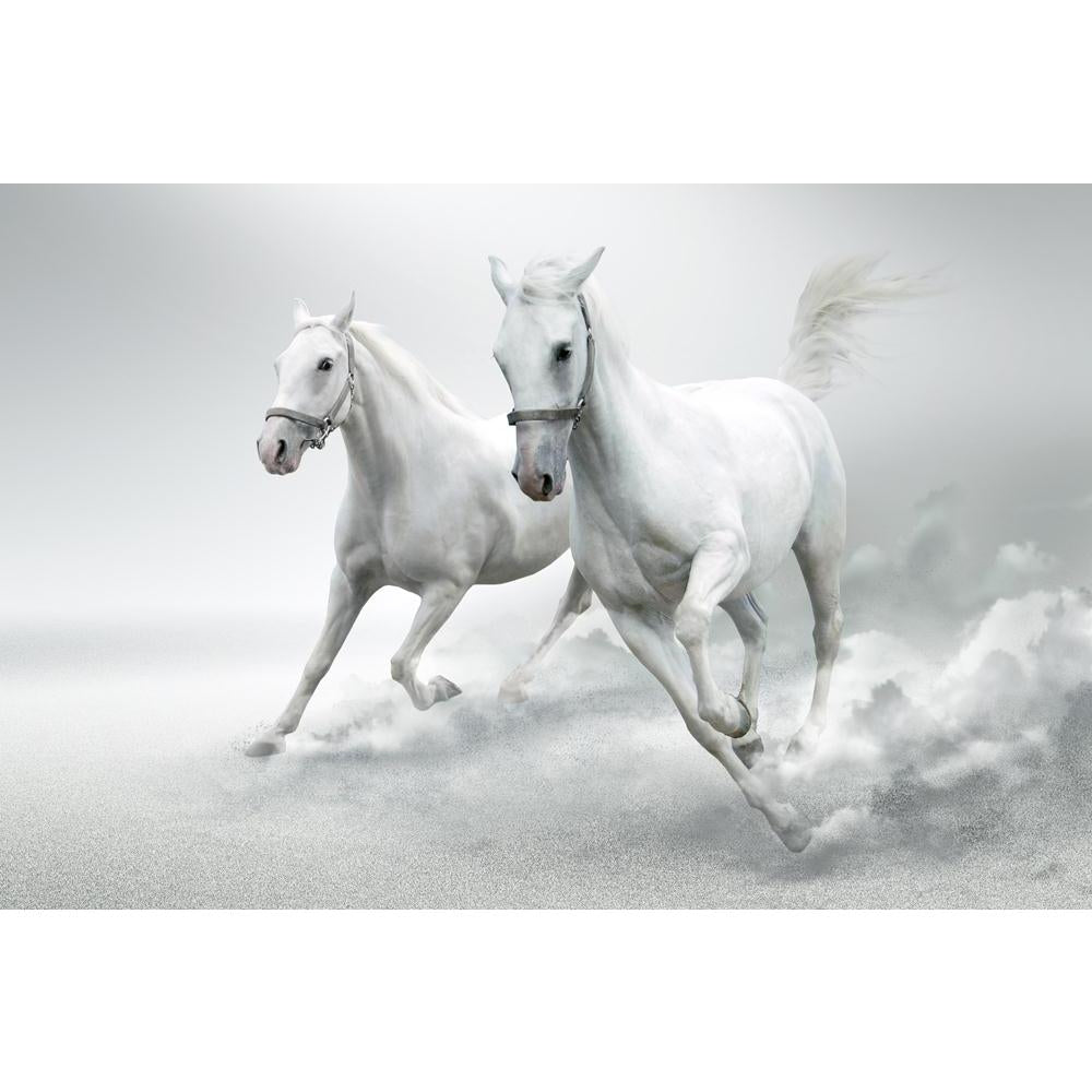 White Horses Canvas Painting Synthetic Frame-Paintings MDF Framing-AFF_FR-IC 5000426 IC 5000426, Animals, Black and White, Nature, Pets, Scenic, White, horses, canvas, painting, synthetic, frame, horse, photo, manipulation, and, carriage, galloping, active, animal, arab, arabian, background, couple, dressage, dressing, dust, elegant, equestrian, equine, farm, fast, free, freedom, gallop, grey, isolated, mammal, mane, motion, natural, noble, pet, race, run, speed, stallion, tail, training, trot, two, wild, a