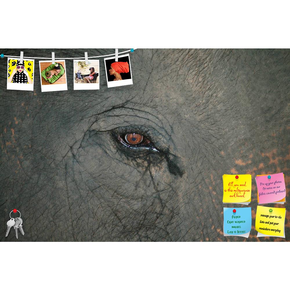 ArtzFolio Elephant Eye D1 Printed Bulletin Board Notice Pin Board Soft Board | Frameless-Bulletin Boards Frameless-AZSAO10181329BLB_FL_L-Image Code 5000430 Vishnu Image Folio Pvt Ltd, IC 5000430, ArtzFolio, Bulletin Boards Frameless, Animals, Photography, elephant, eye, d1, printed, bulletin, board, notice, pin, soft, frameless, pin up board, push pin board, extra large cork board, big pin board, notice board, small bulletin board, cork board, wall notice board, giant cork board, bulletin board, office noti