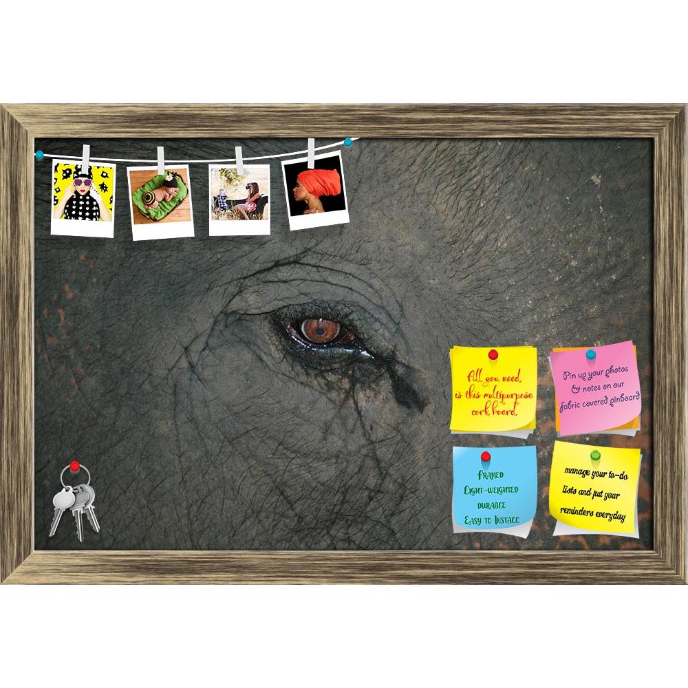ArtzFolio Elephant Eye D1 Printed Bulletin Board Notice Pin Board Soft Board | Framed-Bulletin Boards Framed-AZSAO10181329BLB_FR_L-Image Code 5000430 Vishnu Image Folio Pvt Ltd, IC 5000430, ArtzFolio, Bulletin Boards Framed, Animals, Photography, elephant, eye, d1, printed, bulletin, board, notice, pin, soft, framed, pin up board, push pin board, extra large cork board, big pin board, notice board, small bulletin board, cork board, wall notice board, giant cork board, bulletin board, office notice board, of