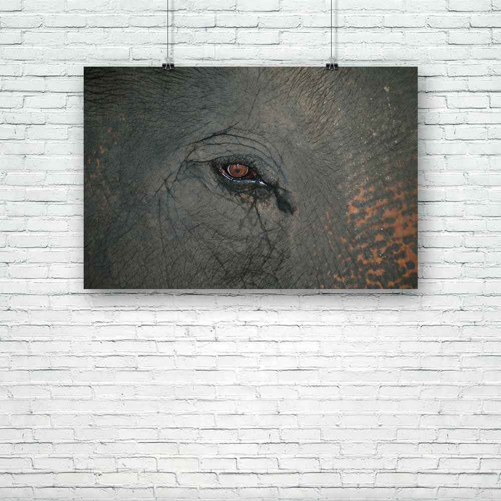 Elephant Eye D1 Unframed Paper Poster-Paper Posters Unframed-POS_UN-IC 5000430 IC 5000430, African, Animals, Asian, Black, Black and White, Indian, Individuals, Nature, Patterns, Portraits, Scenic, White, Wildlife, elephant, eye, d1, unframed, paper, poster, africa, aged, animal, background, big, brown, close, closeup, cry, danger, detail, ear, ears, endangered, face, feed, gray, grey, head, large, mammal, old, pachyderm, pattern, portrait, sad, safari, skin, skinned, species, strong, texture, thick, threat