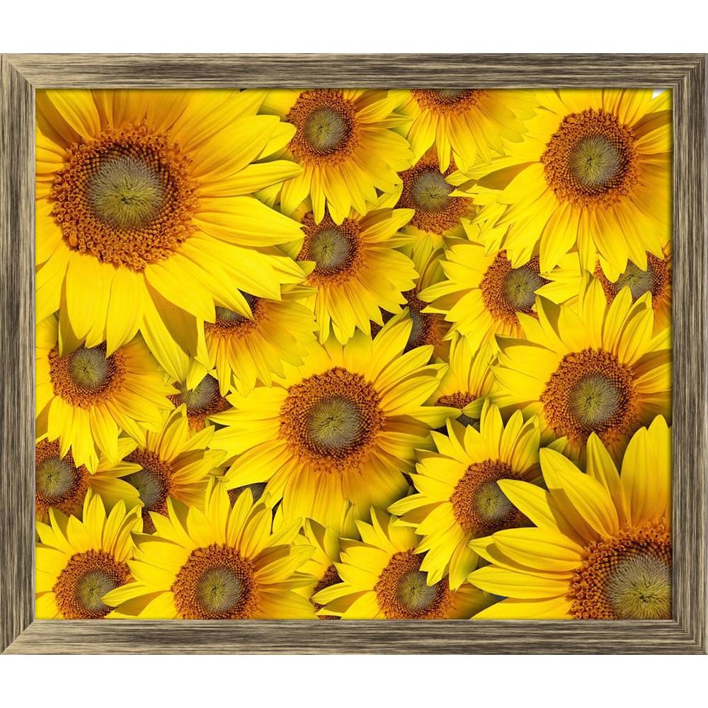 Pitaara Box Sunflower With Background Canvas Painting Synthetic Frame-Paintings Synthetic Framing-PBART10183087AFF_FW_L-Image Code 5000431 Vishnu Image Folio Pvt Ltd, IC 5000431, Pitaara Box, Paintings Synthetic Framing, Floral, Photography, sunflower, with, background, canvas, painting, synthetic, frame, framed canvas print, wall painting for living room with frame, canvas painting for living room, artzfolio, poster, framed canvas painting, wall painting with frame, canvas painting with frame living room, 