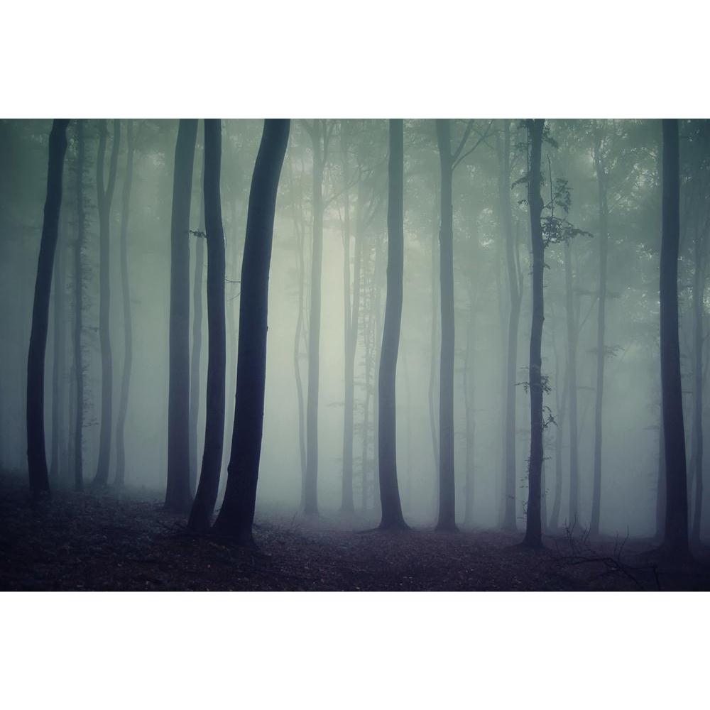ArtzFolio Dark Forest D1 Unframed Paper Poster-Paper Posters Unframed-AZART10284863POS_UN_L-Image Code 5000447 Vishnu Image Folio Pvt Ltd, IC 5000447, ArtzFolio, Paper Posters Unframed, Landscapes, Photography, dark, forest, d1, unframed, paper, poster, wall, large, size, for, living, room, home, decoration, big, framed, decor, posters, pitaara, box, modern, art, with, frame, bedroom, amazonbasics, door, drawing, small, decorative, office, reception, multiple, friends, images, reprints, reprint, kids, bathr