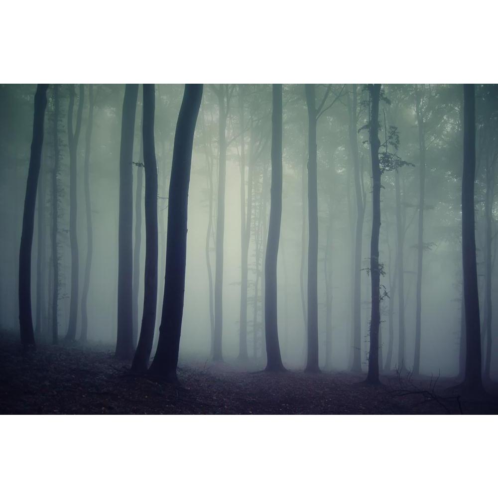 Dark Forest Canvas Painting Synthetic Frame-Paintings MDF Framing-AFF_FR-IC 5000447 IC 5000447, Black, Black and White, Fantasy, Landscapes, Nature, Scenic, Seasons, dark, forest, canvas, painting, synthetic, frame, autumn, bar, beech, blue, code, darkness, elegance, elegant, evening, evil, fear, fog, foggy, green, ground, horror, human, landscape, leaf, light, magic, mist, misty, monochrome, mood, morning, mystery, night, nightmare, purple, rain, rainy, ray, romania, season, shadow, spot, sun, transylvania