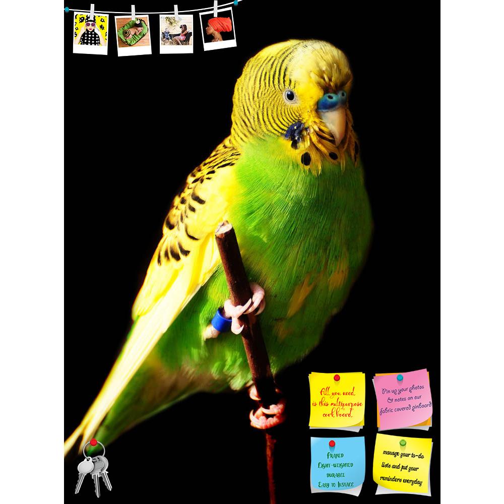 ArtzFolio Female Green Budgie Bird Printed Bulletin Board Notice Pin Board Soft Board | Frameless-Bulletin Boards Frameless-AZSAO10522634BLB_FL_L-Image Code 5000484 Vishnu Image Folio Pvt Ltd, IC 5000484, ArtzFolio, Bulletin Boards Frameless, Birds, Photography, female, green, budgie, bird, printed, bulletin, board, notice, pin, soft, frameless, perched, branch, pin up board, push pin board, extra large cork board, big pin board, notice board, small bulletin board, cork board, wall notice board, giant cork 