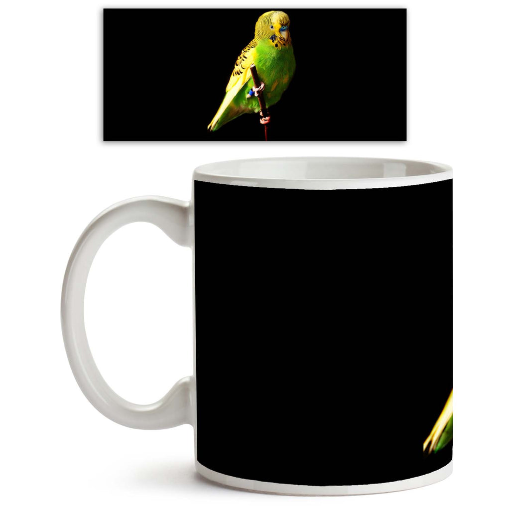 Female Green Budgie Bird Ceramic Coffee Tea Mug Inside White-Coffee Mugs-MUG-IC 5000484 IC 5000484, Animals, Birds, Black, Black and White, Individuals, Pets, Portraits, Tropical, White, Wildlife, female, green, budgie, bird, ceramic, coffee, tea, mug, inside, animal, australia, australian, avian, beak, blue, budgerigar, color, colored, colour, cute, domestic, domesticated, egg, eye, feather, feathers, hand, head, isolated, parakeet, parrot, perch, perched, perching, pet, portrait, pretty, seed, shell, shot