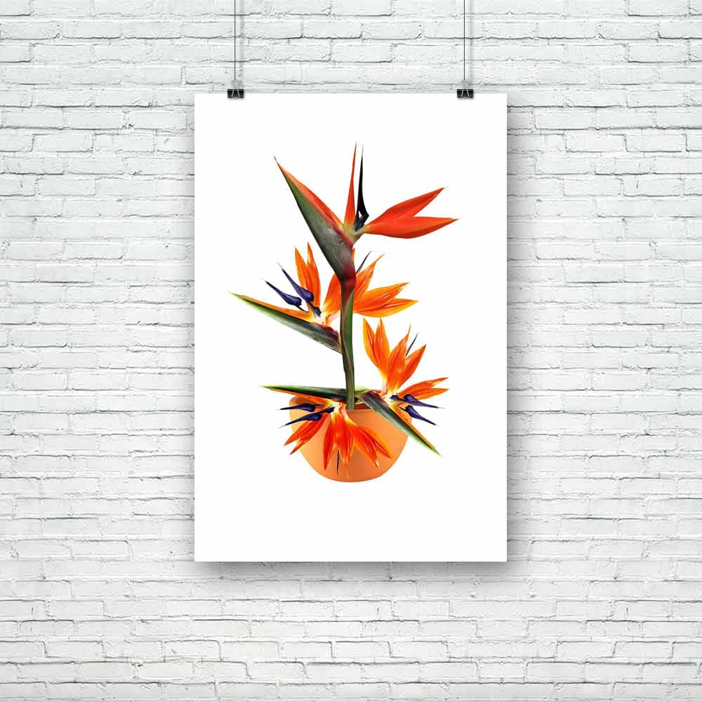 Exotic Floral Unframed Paper Poster-Paper Posters Unframed-POS_UN-IC 5000493 IC 5000493, Birds, Botanical, Floral, Flowers, Hawaiian, Love, Nature, Romance, Scenic, Signs, Signs and Symbols, Tropical, exotic, unframed, paper, poster, flower, arrangement, background, beautiful, beauty, bird, bloom, blossom, blue, botany, bouquet, bright, clay, close, decoration, design, flora, foliage, forest, fresh, garden, gardening, green, hawaii, island, isolated, jungle, leaf, macro, orange, paradise, petal, plant, pot,