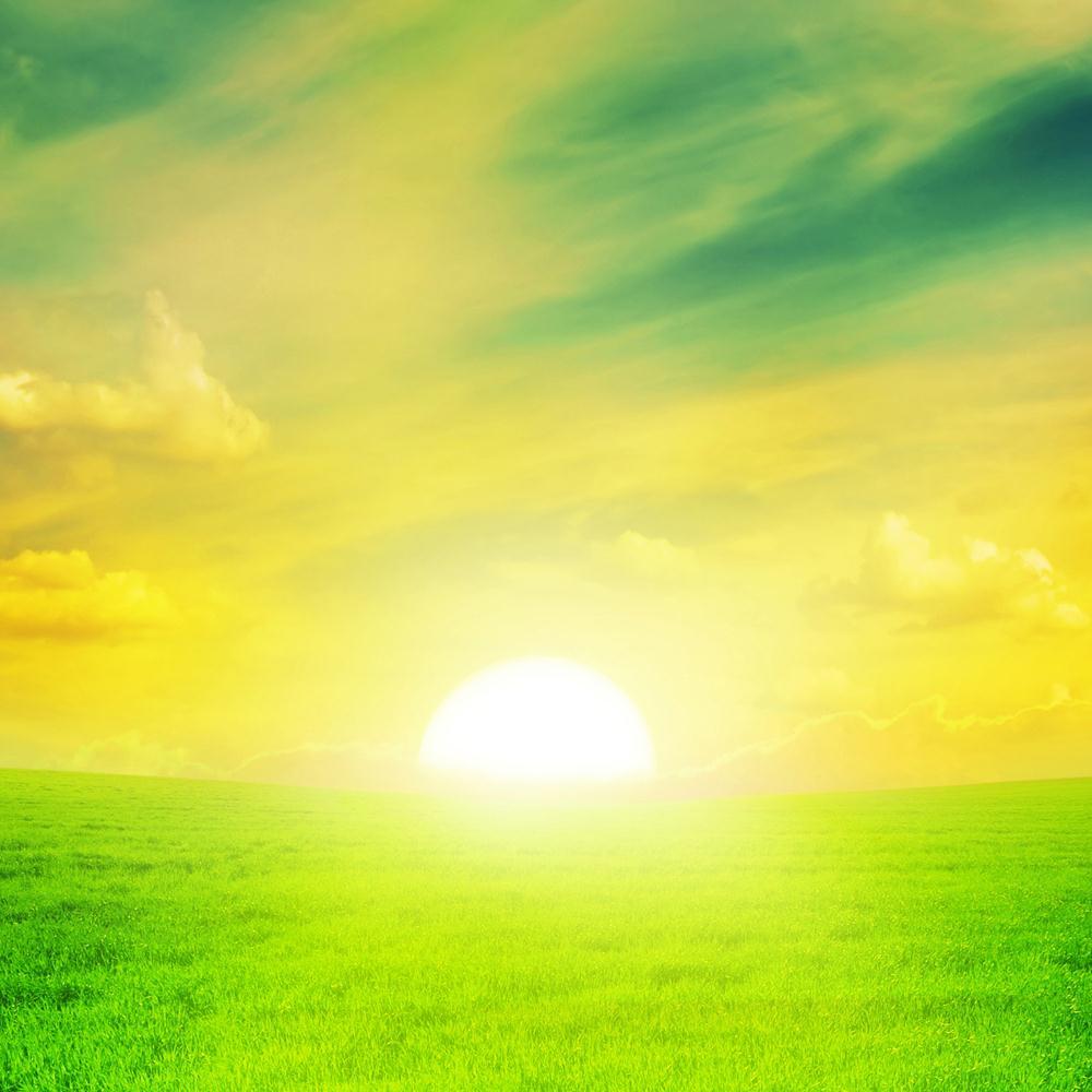 Beautiful Sunset On A Spring Field Canvas Painting Synthetic Frame-Paintings MDF Framing-AFF_FR-IC 5000504 IC 5000504, Culture, Ethnic, Landscapes, Nature, Scenic, Sunrises, Sunsets, Traditional, Tribal, World Culture, beautiful, sunset, on, a, spring, field, canvas, painting, synthetic, frame, sunshine, background, agriculture, beam, blue, clear, cloud, clouds, cloudscape, cloudy, countryside, day, fall, farming, fields, grass, grassland, green, heavens, horizon, image, land, landscape, light, meadow, outd